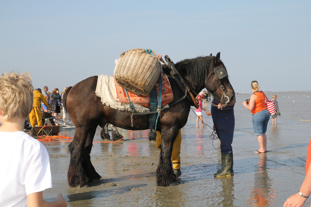 Oostduinkerke